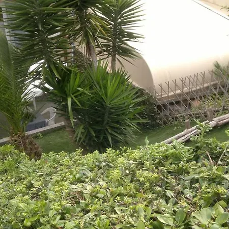 Le Conchiglie بيت ضيافة 3*