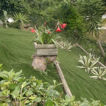 Affittacamere Le Conchiglie